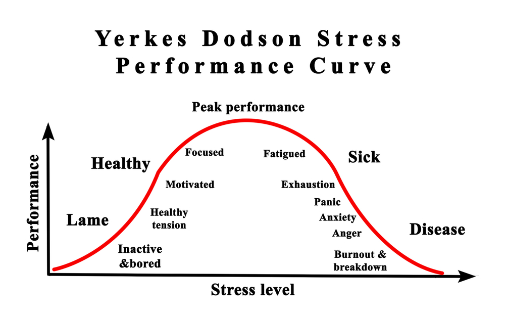 Yerkes-Dodson-stress-curve